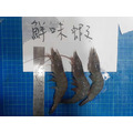台大博士鑽石水無毒純海水養殖巨無霸白蝦~半斤裝特價160/半斤_1