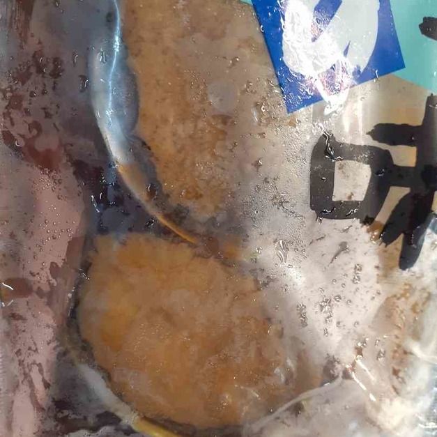 「鮮味蝦年節禮盒系列」~南非野生熟鮑魚禮盒~四大顆6頭鮑裝~本公司配合加工廠已料理，退冰加熱可直接食用~4顆裝禮盒