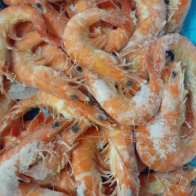 「鮮味蝦年節禮盒系列」~本公司自有食品加工廠熟白蝦禮盒~1kg裝~直接退冰即可食用~下酒菜