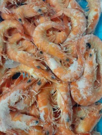 「鮮味蝦年節禮盒系列」~本公司自有食品加工廠熟白蝦禮盒~1kg裝~直接退冰即可食用~下酒菜