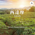 衣索比亞 水洗 西達摩 G2