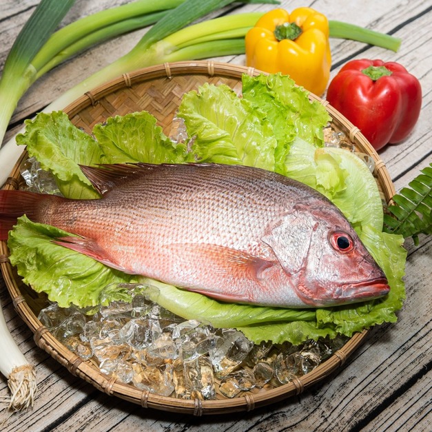 海雞母魚【輪切】