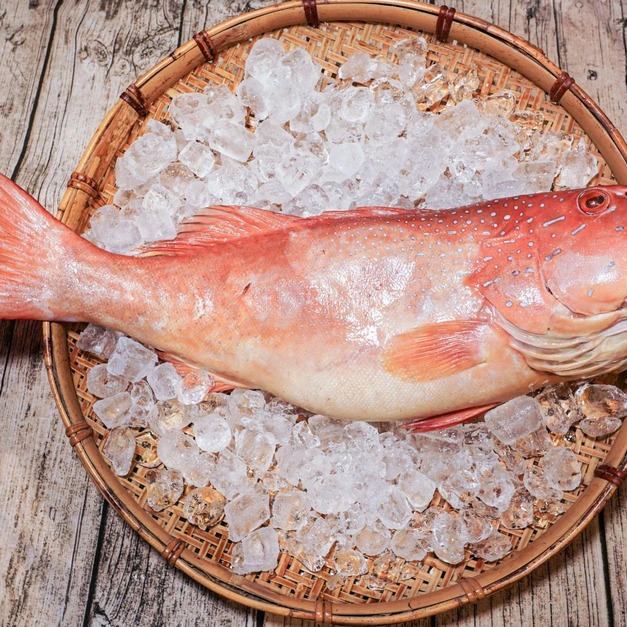 紅條魚【輪切】