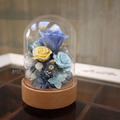 ｜單品｜餘音 玻璃罩山毛櫸旋轉音樂盒