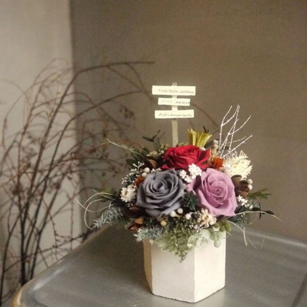 ｜單品｜城市中的綠意 六角水泥盆花