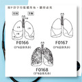 肺臟學習印章 3*6CM_1
