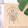 身體器官印章 雙11特惠