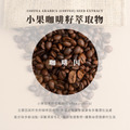 北美金縷梅治癒系修復洗髮乳│麝香玫瑰天竺葵│500ml_7