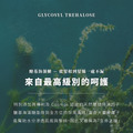 北美金縷梅治癒系修復洗髮乳│麝香玫瑰天竺葵│500ml_8
