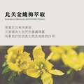 北美金縷梅治癒系修復洗髮乳│麝香玫瑰天竺葵│500ml_5