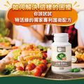 高麗菜精U植物膠囊（原樂酸定U）（60粒）_4