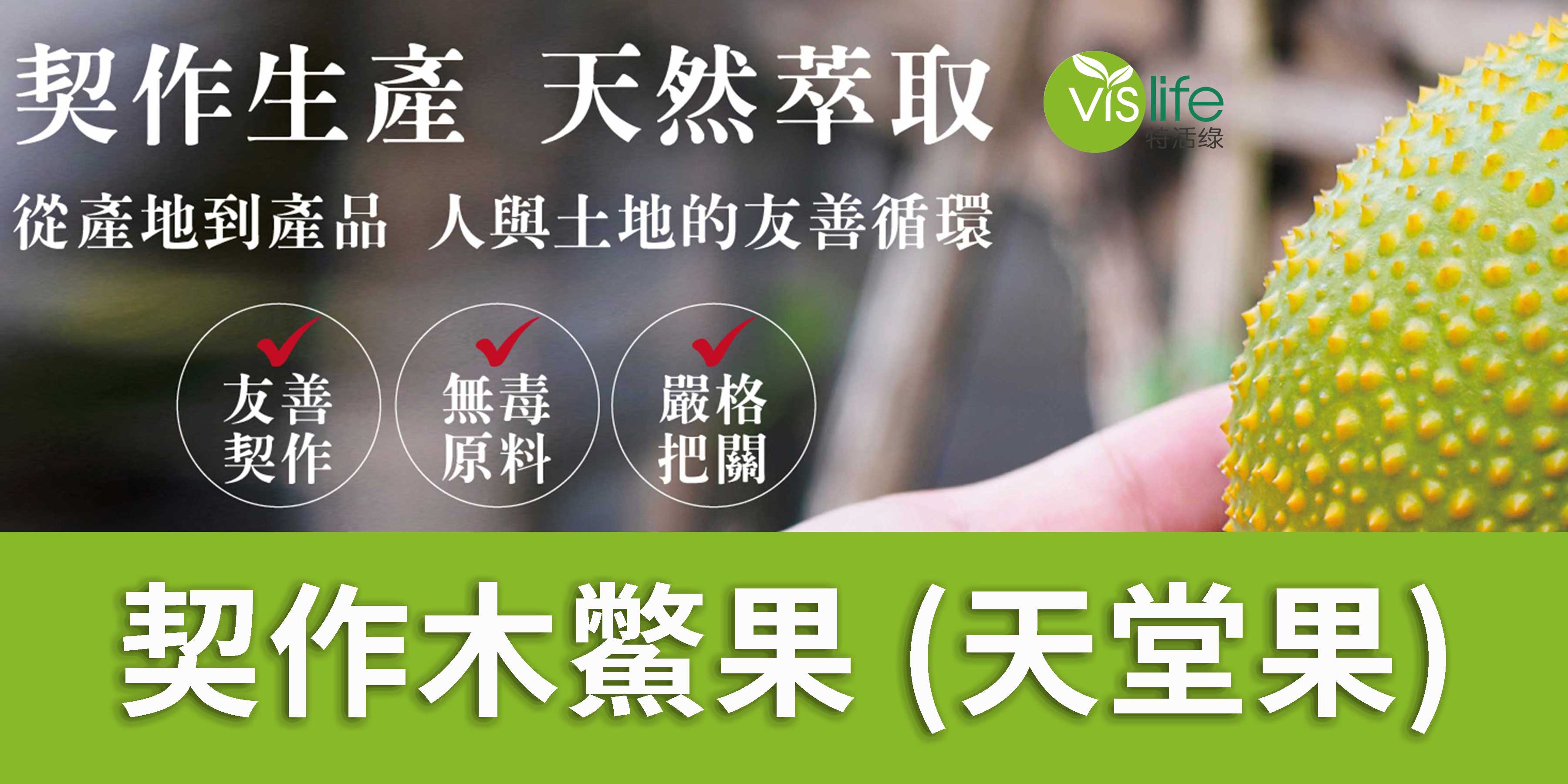 為了您的健康  我們契作了一整片木鱉果(天堂果)