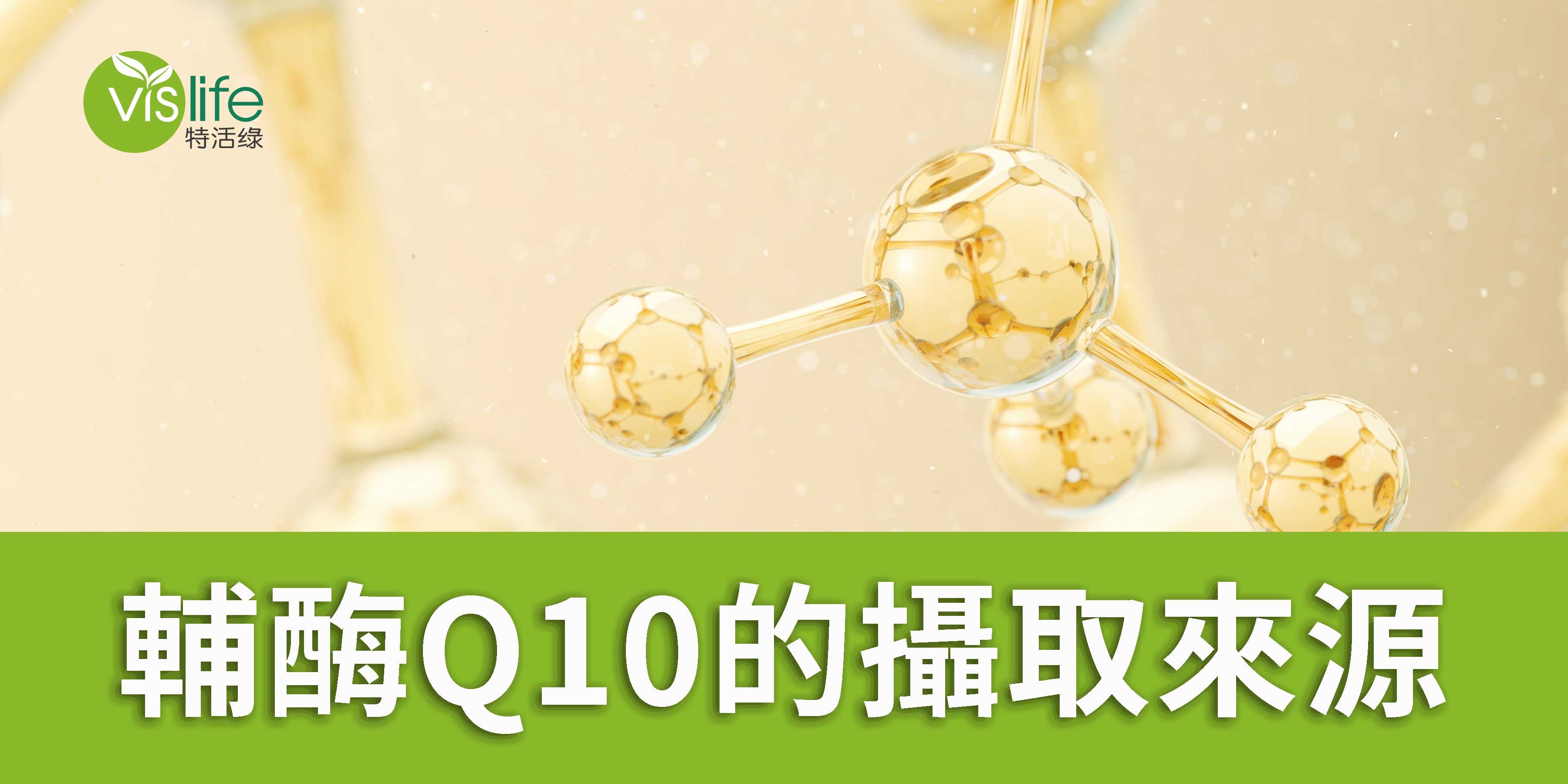 輔酶Q10該如何攝取?