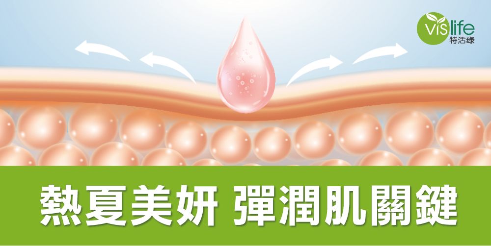 解密膠原蛋白與玻尿酸