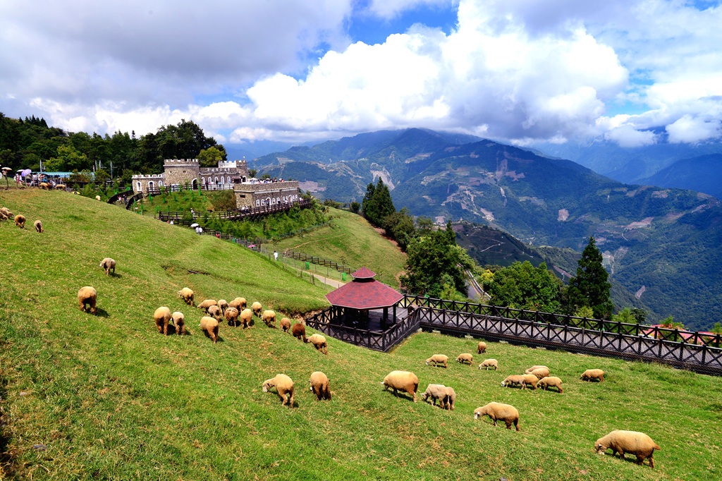 清境農場青青草原、羊群與遠山景觀