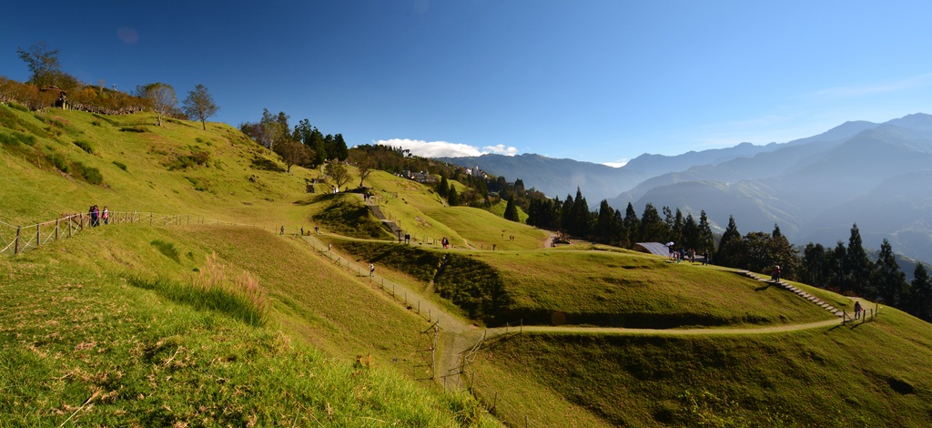 清境高山草坡與蜿蜒步道全景