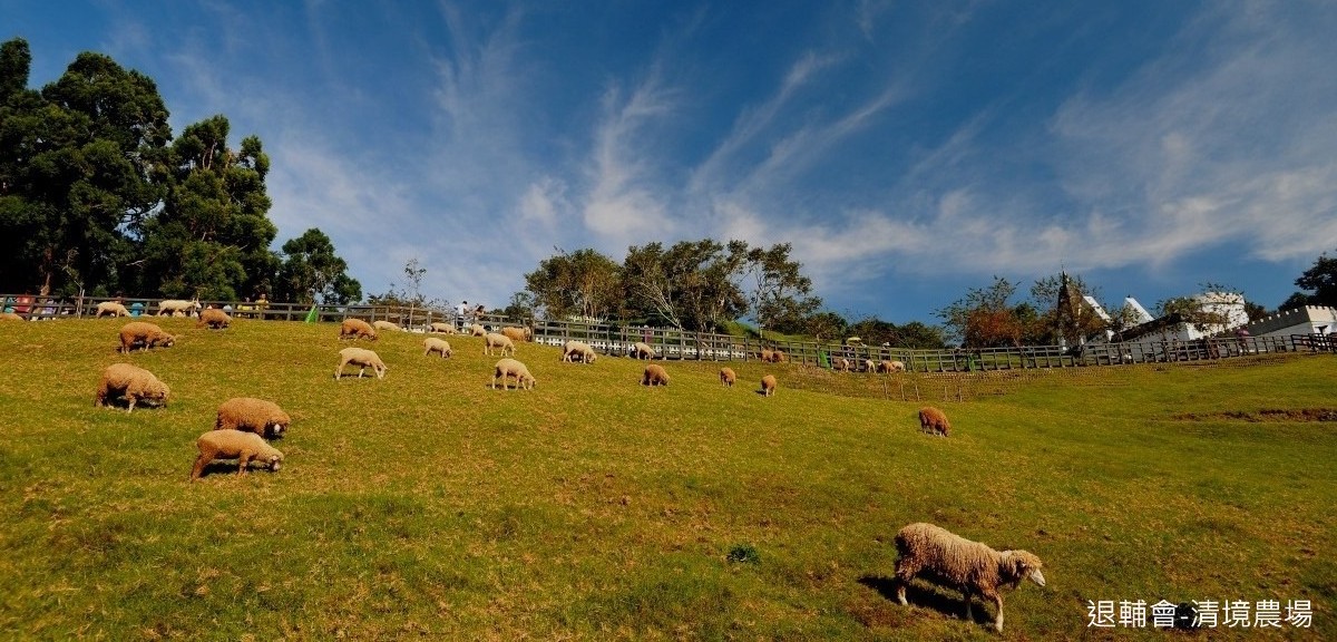 退輔會清境農場