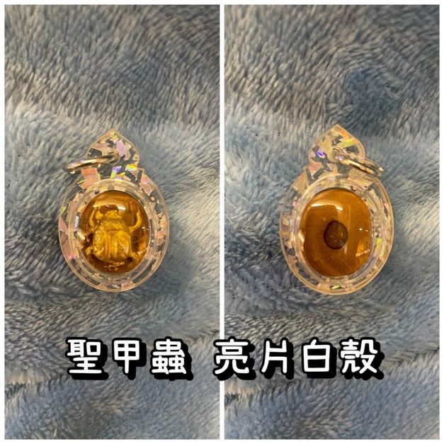 普通版【粉牌】亮片白殼 -$700