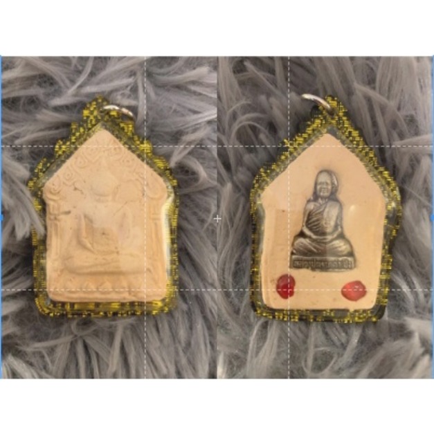 藕粉肉防水殼 +$500