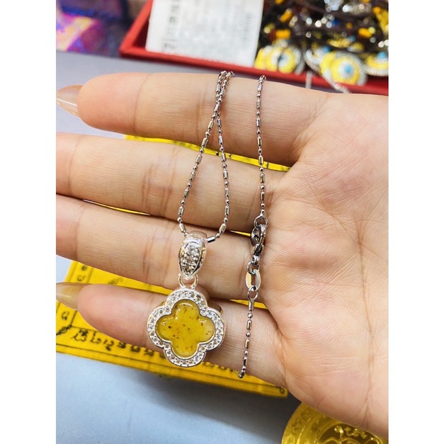 金蒼蠅+項鍊 +$300