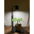 台灣製造 ISTA 桌上型植物燈_3