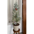 【聖誕樹】2026 Christmas Collection｜藍冰柏