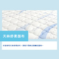 T202/天絲獨立筒彈簧床墊_2