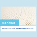 X20A/山寧泰乳膠德國Agro獨立筒床墊_7