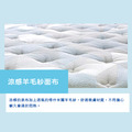 X42S/涼感羊毛紗德國Agro獨立筒床墊_2