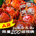 老饕必買！Ａ級(5.3~5.9兩)大閘蟹/四隻組 平均$350/隻