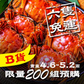 嘗鮮必吃！B級(4.6~5.2兩)大閘蟹/六隻組 平均$280/隻