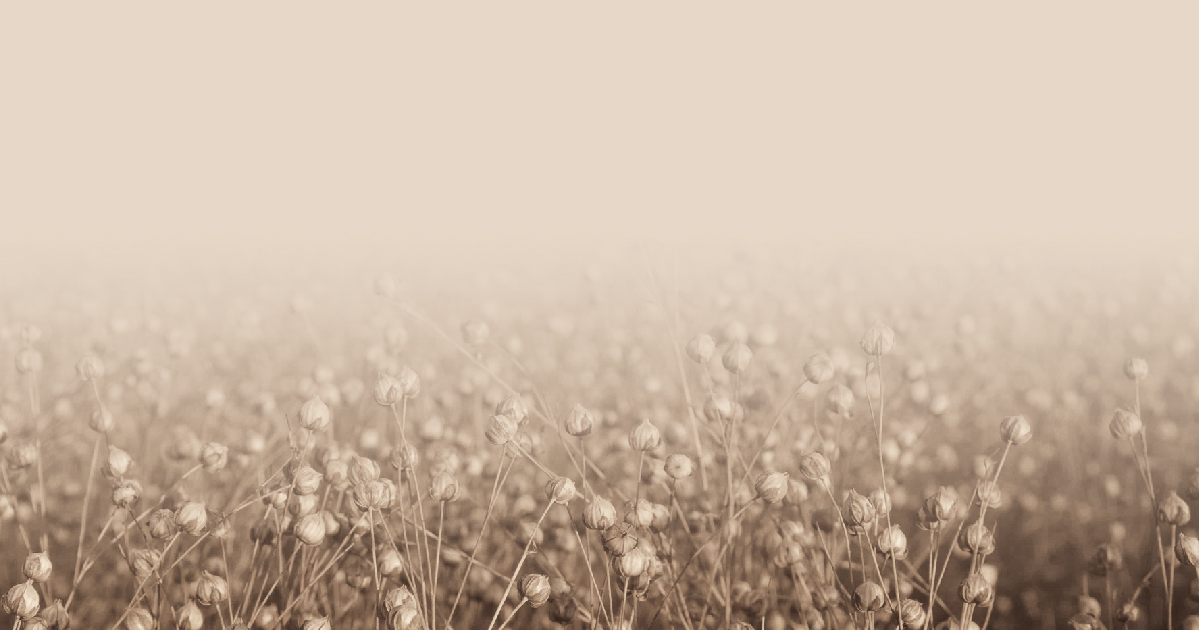 LINEN