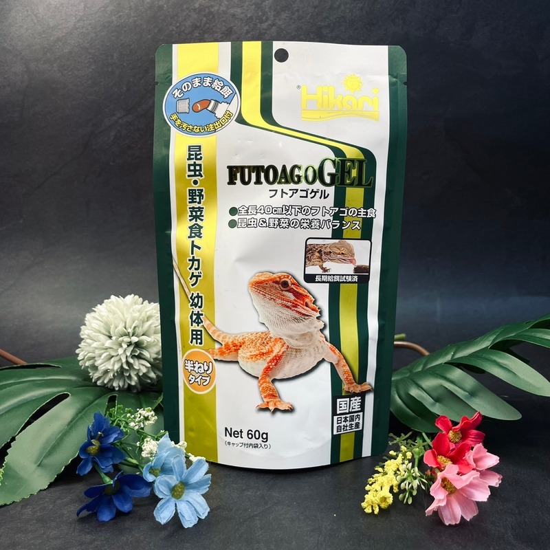 Hikari高夠力 爬蟲類專用飼料 雜食性幼體(凝膠)60g  鬆獅蜥可用