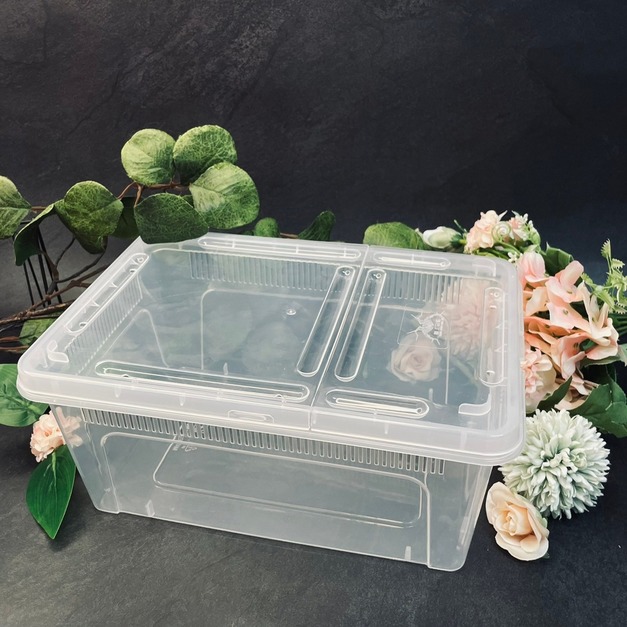 飼養盒 透明飼養盒 掀蓋式 中號  飼養盒 觀察盒(贈白色水盆)