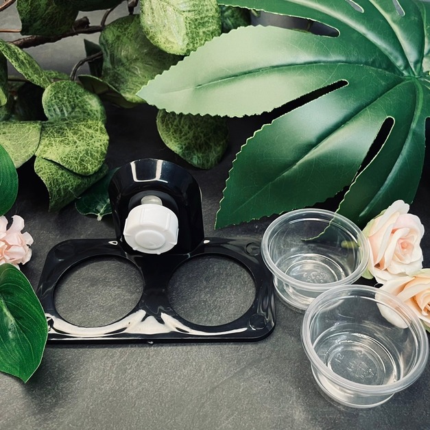 樹棲型壁掛食盆 蓋勾亞 睫角守宮 巨人守宮 食盆 水盆 吸盤式