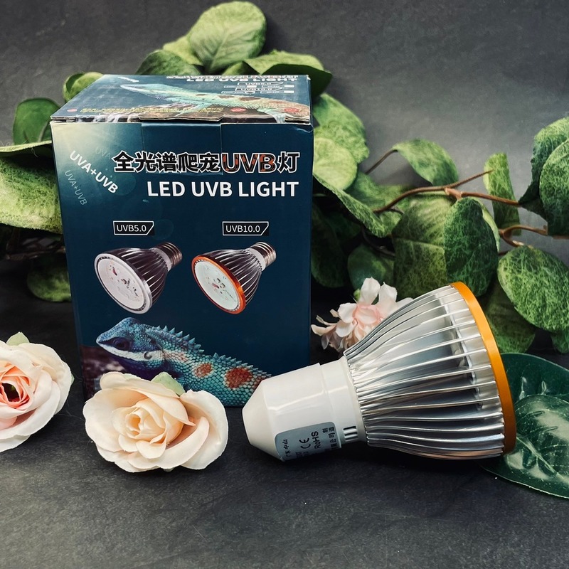 爬蟲全光譜UVB燈 曬背燈 加溫燈 烏龜 陸龜 蜥蜴 鬆獅蜥  補鈣UVA+UVB