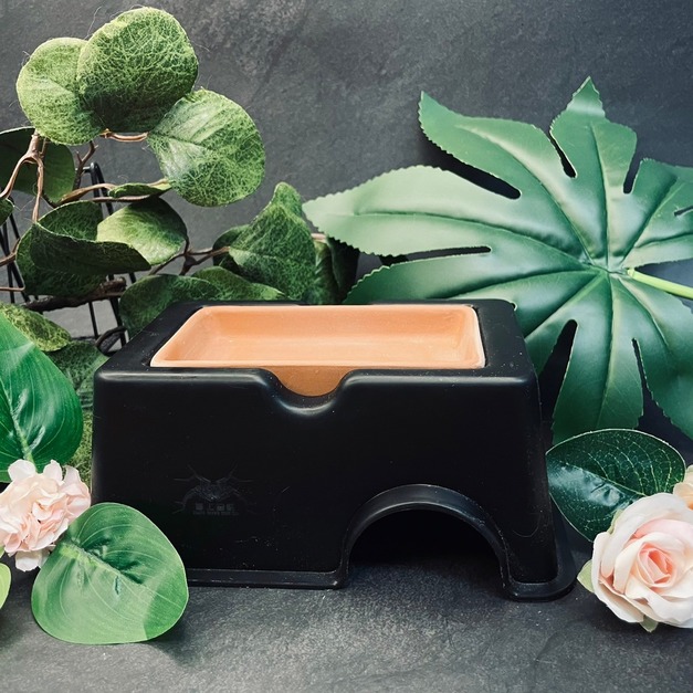 爬蟲 守宮加濕躲避屋 加濕保濕 豹紋守宮 肥尾守宮 玉米蛇 王蛇 豬鼻蛇可用