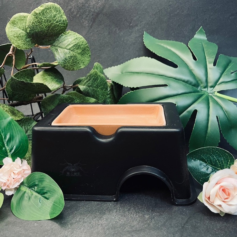 爬蟲 守宮加濕躲避屋 加濕保濕 豹紋守宮 肥尾守宮 玉米蛇 王蛇 豬鼻蛇可用