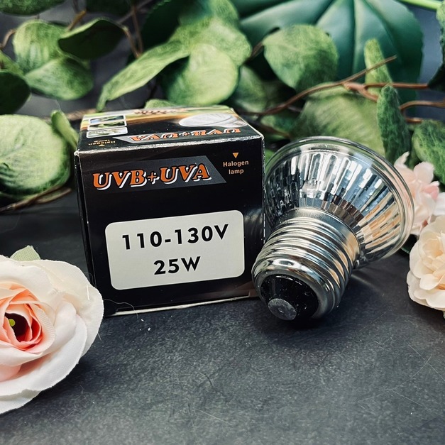 爬蟲聚熱加溫燈泡25w 曬背燈 加溫燈 保溫  爬寵 蜥蜴 陸龜 鬆獅蜥可用