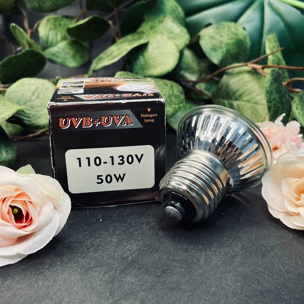 爬蟲聚熱加溫燈泡50w 曬背燈 加溫燈 保溫  爬寵 蜥蜴 陸龜 鬆獅蜥可用
