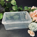 飼養盒 透明飼養盒 掀蓋式 小號 飼養盒 觀察盒