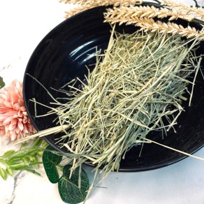 達爾文DARWIN-八里酪農兔子天竺鼠牧草-主食-健康百慕達-500g