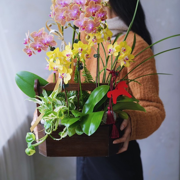 2026 新年花禮 | 金燦蘭花花園風提籃&nbsp;- 粉金色