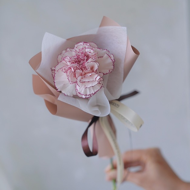 2026 馨情｜ 經典單朵康乃馨鮮花束 -6色選