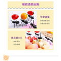 ORG《SD1742》 螞蟻款水果叉_8