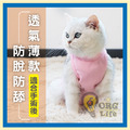 ORG《PT0047》 防舔寵物四腳衣