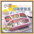 ORG《SD2186》 單四格便當盒