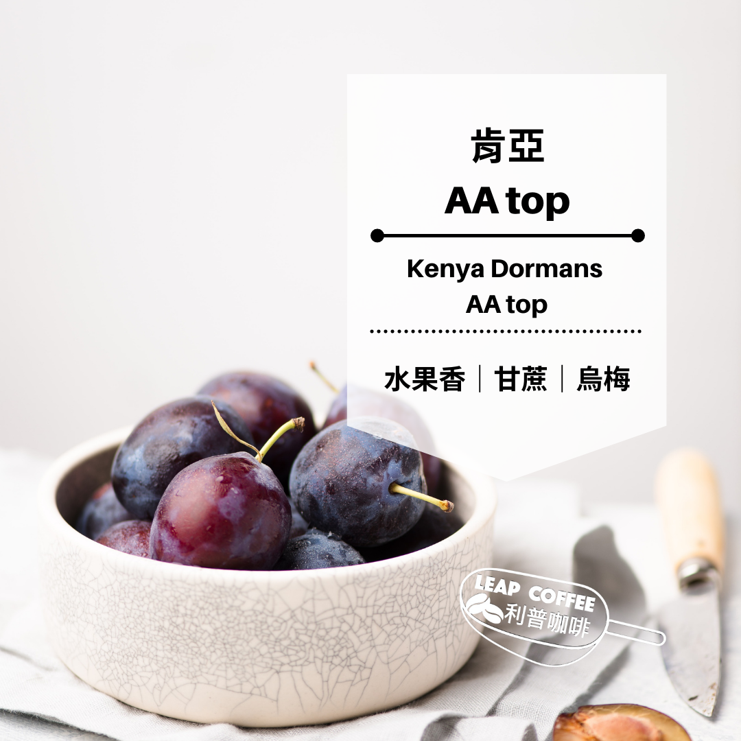 肯亞頂級 AA top