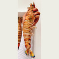 澎湖野生大明蝦 Giant Tiger Prawn_1