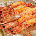 澎湖野生大明蝦 Giant Tiger Prawn_8